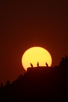 sunset farnes