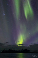 PR5_3231-gigapixel-standard-scale-6_00x