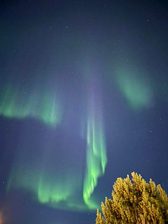 2026-03-Norway-9