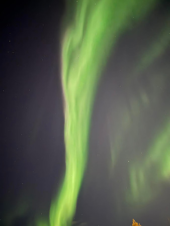 2026-03-Norway-19
